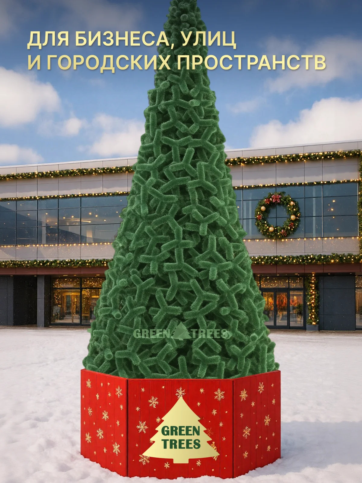 Сосна уличная ствольная Альпийская зеленая