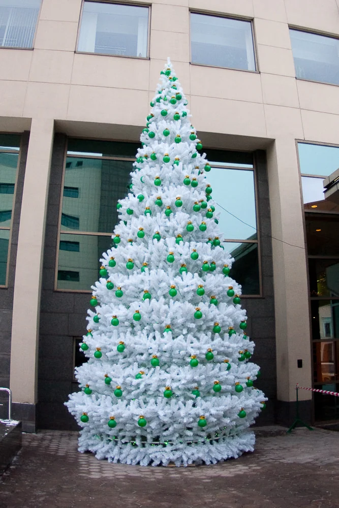 Уличная елка Уральская белая